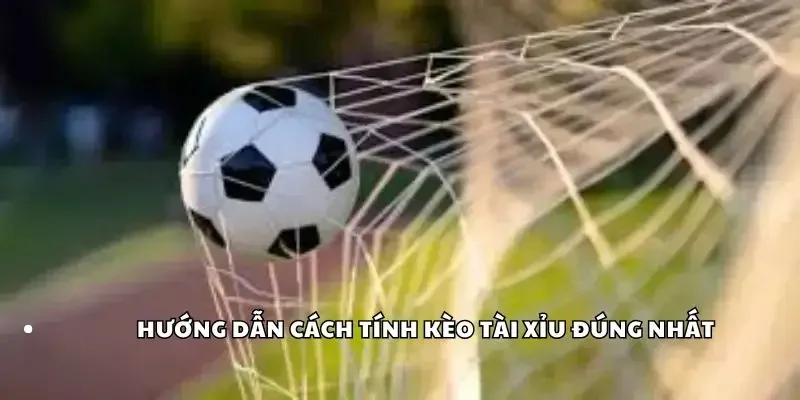 Hướng dẫn cách tính kèo tài xỉu đúng nhất