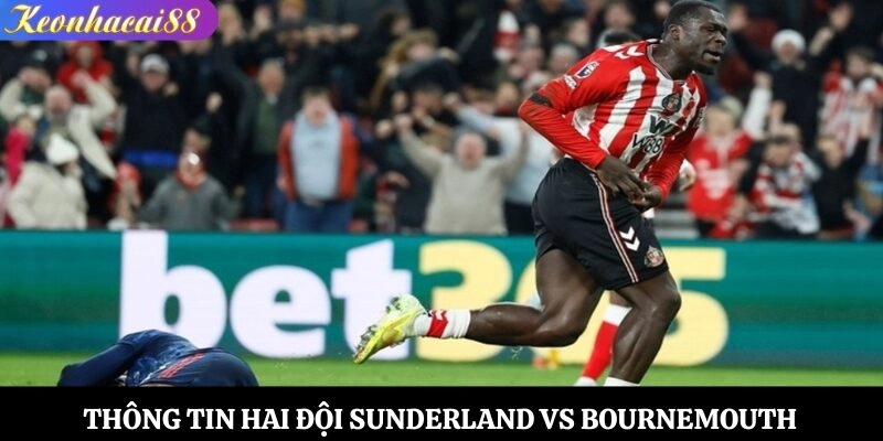 Tổng quan thông tin hai đội Sunderland vs Bournemouth