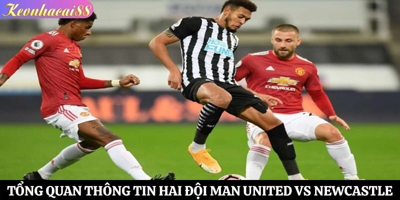 Tổng quan thông tin hai đội Man United vs Newcastle